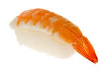 Ebi Nigiri